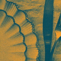 An orange- and blue-toned image of a scalloped dinner plate resting on a placemat; a knife and fork rest to the right of the plate edge.