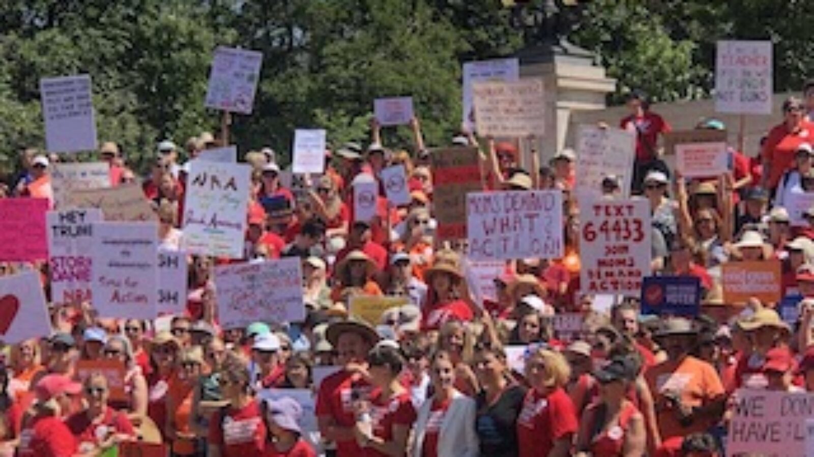 Moms Demand Action, Students Demand Action Volunteers Flex Grassroots ...